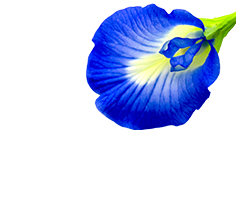 Blue Tea - 40Gm custom image