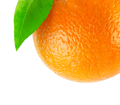 Orange Mint Green Tea- 75Gm custom image